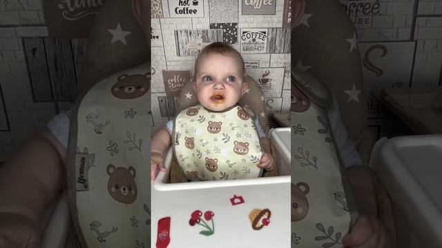 Прикорм мясом, начало. Как мы переходим к мясу. Первые впечатления. Смешное смотреть онлайн
