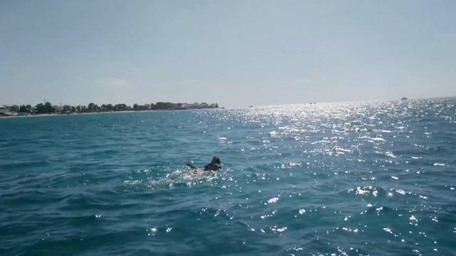 купание в Средиземном море. прогулка на яхте смотреть онлайн