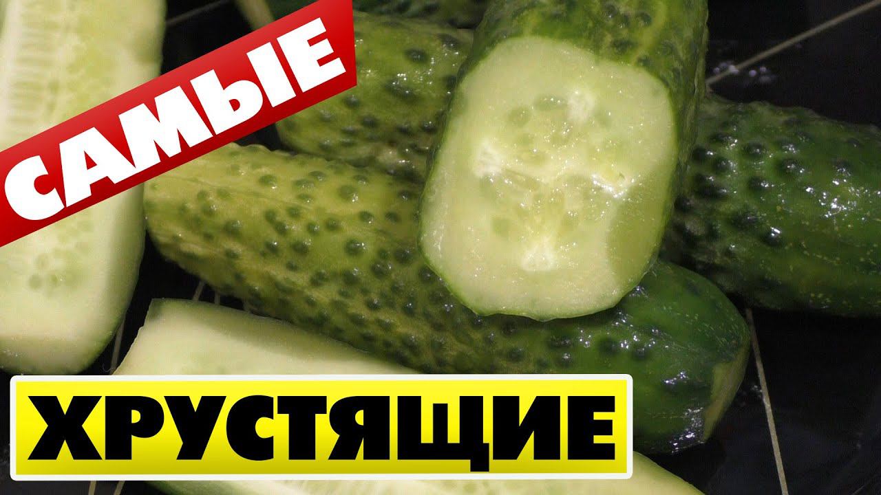 Как малосолить ОГУРЦЫ в кастрюле Быстро и просто Мой любимый рецепт смотреть онлайн