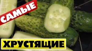 Как малосолить ОГУРЦЫ в кастрюле Быстро и просто Мой любимый рецепт