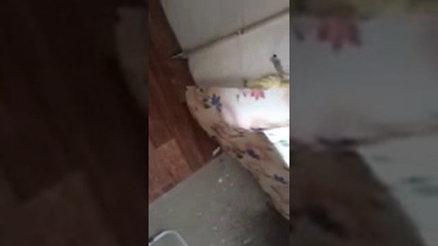 Окна ГОСТА смотреть онлайн