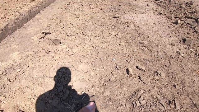 НОВЫЙ НЕОБЫЧНЫЙ ОБЪЕКТ смотреть онлайн