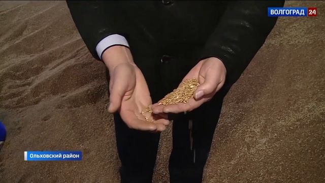 В Гусевке молодых специалистов обеспечивают жильем и помогают обустроиться смотреть онлайн
