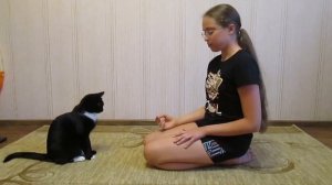 Дрессировка кота. Команда суслик на голос.