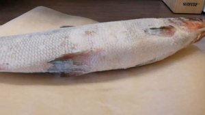 Рыба муксун как выбрать