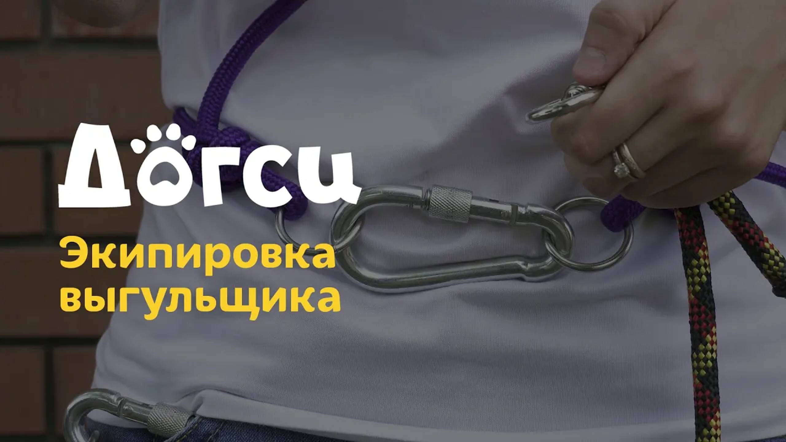Догси - Безопасная экипировка Догси _ dogsy