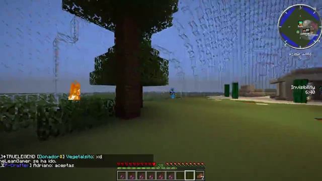 Minecraft Reporte Bulls Tracert hack смотреть онлайн