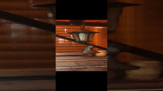 16-08-2024 смотреть онлайн