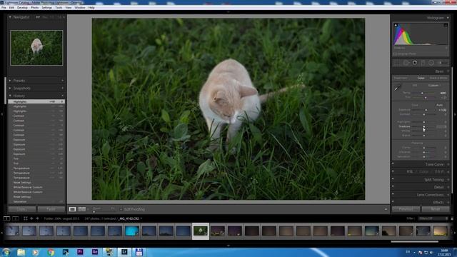 Lightroom с самого начала - #01 Основная коррекция изображения (Basic) смотреть онлайн