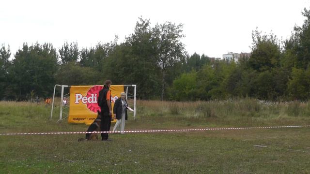 Файерхунд Цент. Соревнования по ОКД (правила испытаний).