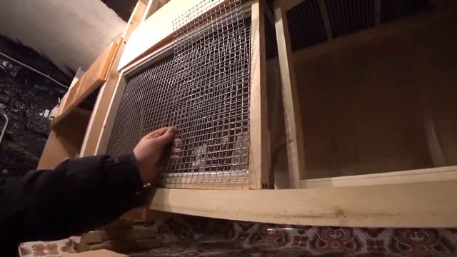 54. Дачный блог 07.03.2021г. Идеальный брудер ч.12. Брудер закончен!!! смотреть онлайн