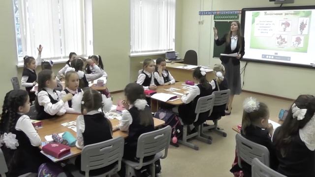 Начальная школа. Окружающий мир. Дикорастущие и культурные растения смотреть онлайн