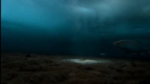 Рыбалка Братское водохранилище, работа прикормки под водой вечером