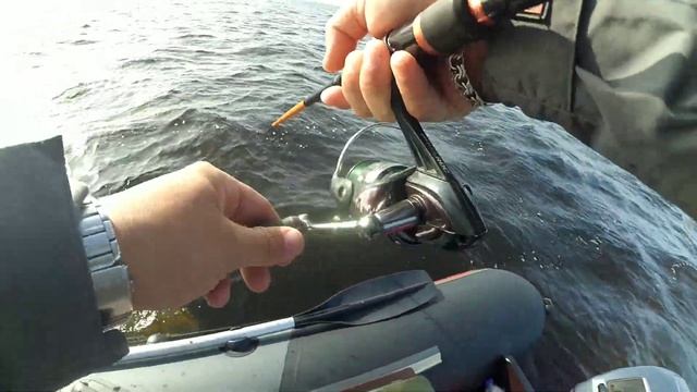 История одной поклевки. Ловля ТРОФЕЙНОЙ ЩУКИ на PIG SHAD. Рыбалка на Рыбинском водохранилище. смотреть онлайн