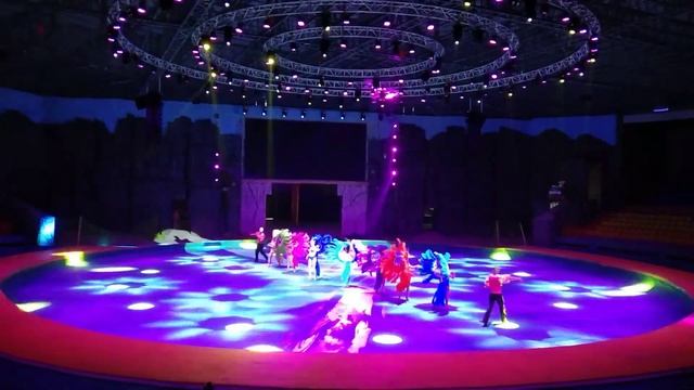 Samba. Circus. Carnaval. Танцевальные поддержи. смотреть онлайн