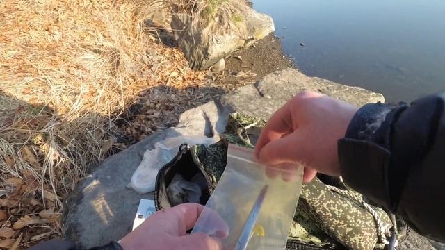 РЫБАЛКА на ДОНКУ КРОКОДИЛ. Ловля КАМБАЛЫ на РЕКЕ с берега смотреть онлайн