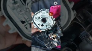 Шкода Карок. Насекомые в задних фонарях