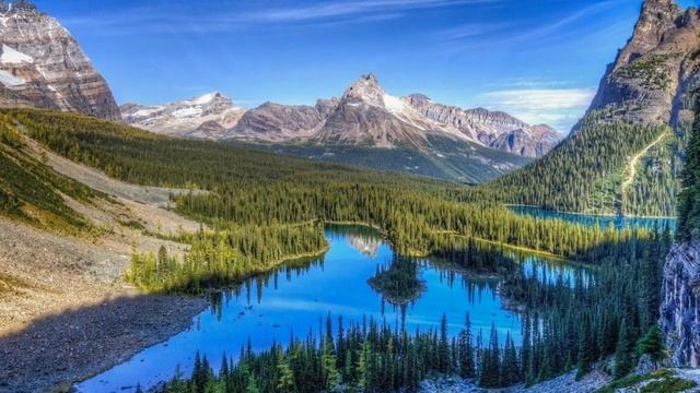 Anthony Greninger. Dreamer