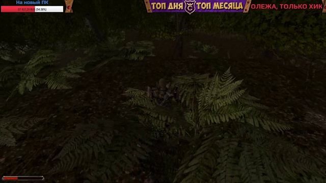 Добивание недобитых и продолжение сюжета ∎ Gothic 2 | Готика 2 стрим 20 смотреть онлайн