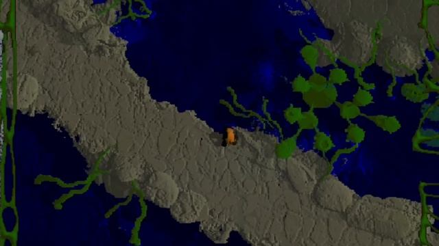 Кратко про Вангеры (Часть 2) смотреть онлайн