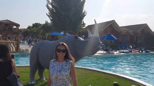 Albatros Jungle Aqua Park 4* Обзор отеля, территории, номеров. Октябрь 2021 смотреть онлайн