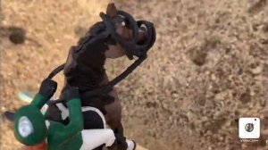 Типы лошадей Шляйх под седлом!