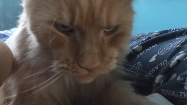 Массаж недорого ) смотреть онлайн