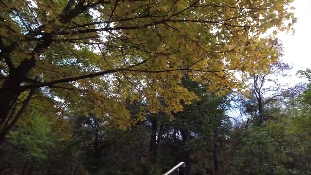 Раннее утро в Кисловодске. Кисловодский парк. Прогулка по городу смотреть онлайн