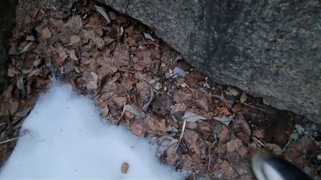 Заброшенные руины Английского дворца. Часть 4 (заключительная) смотреть онлайн