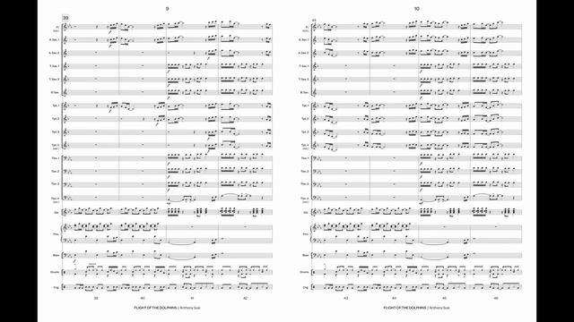 Flight of the Dolphins (Jazz Ensemble Gr. 3) - Anthony Susi смотреть онлайн