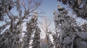 Великий Амур | Самая большая река Дальнего Востока | Амур