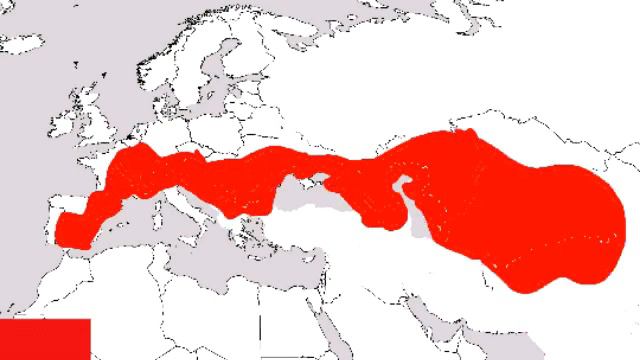 THE FUTURE OF DAGESTAN смотреть онлайн