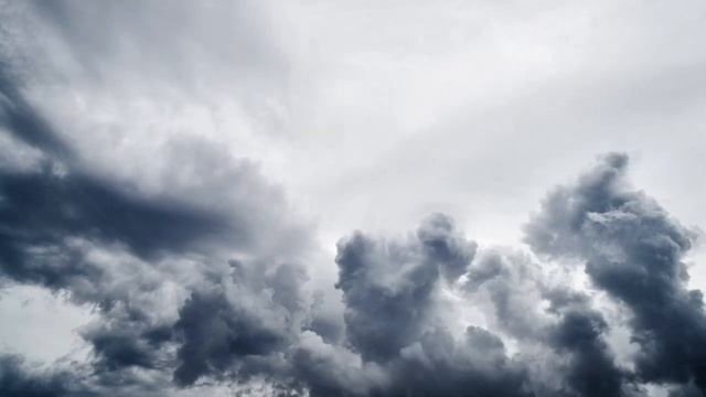 ТАНГО ЖЁЛТЫХ ЛИСТЬЕВ. Квартирник на 8-м этаже. смотреть онлайн