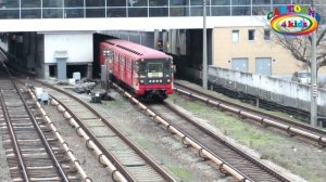 Изучаем поезда и железнодорожный транспорт для детей. Развивающее видео про транспорт