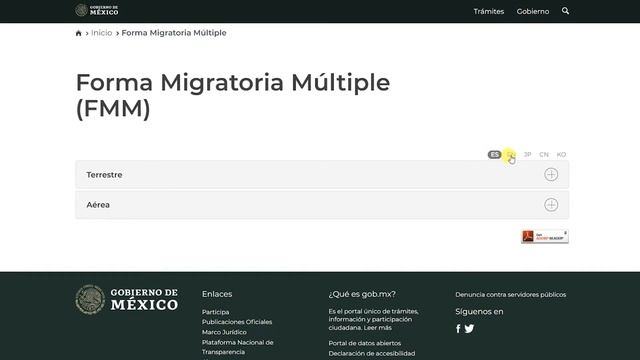 Fill out your FMM form смотреть онлайн