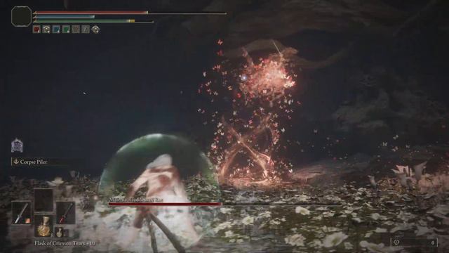 Elden Ring - Naked Malenia Boss Fight