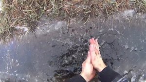 ЗАСТРЯЛ В БОЛОТЕ!!! ВОДА ЛЕДЯНАЯ, ПРИШЛОСЬ НЫРЯТЬ...