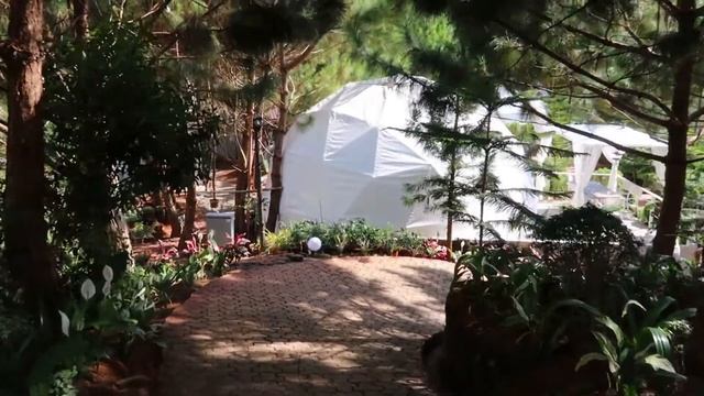 Taglucop Strawberry Hills | Glamping Idea | Bukidnon смотреть онлайн