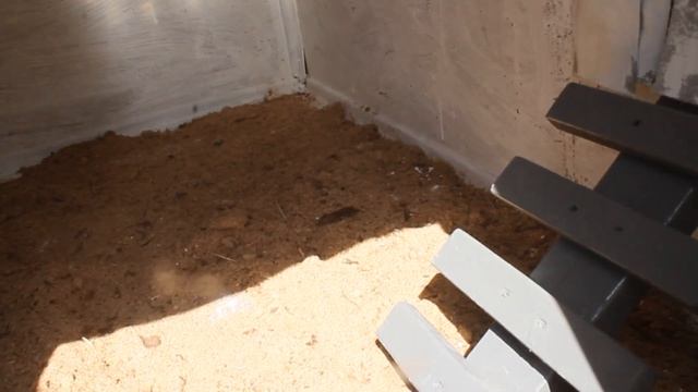 Курятник за пол года , своими руками. Что получилось ))). смотреть онлайн