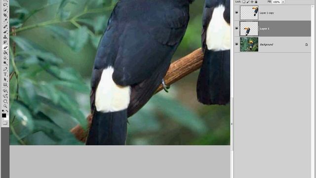 Урок Adobe Photoshop - Фотомонтаж. Серия 2. смотреть онлайн