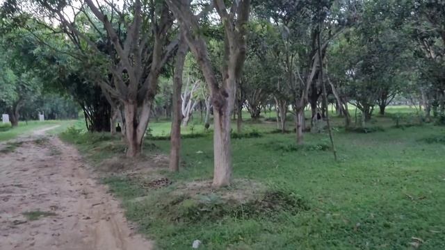 Samsung galaxy S20 fe 5g || full camera test ||stability смотреть онлайн