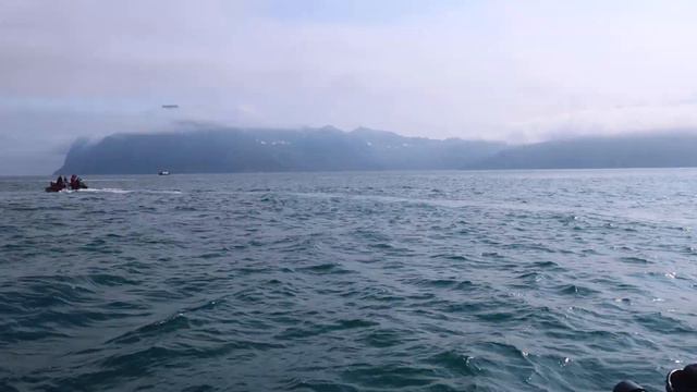 Камчатка. Морской поход. Первая встреча с китом. смотреть онлайн