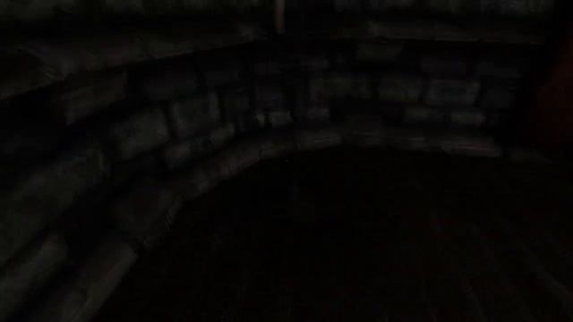 Amnesia: The Dark Descent - Прохождение игры на русском #1 смотреть онлайн