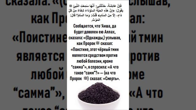 #Черный тмин Сахих аль Бухари 5687 смотреть онлайн