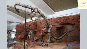 Юньнанозавр — Динозавры