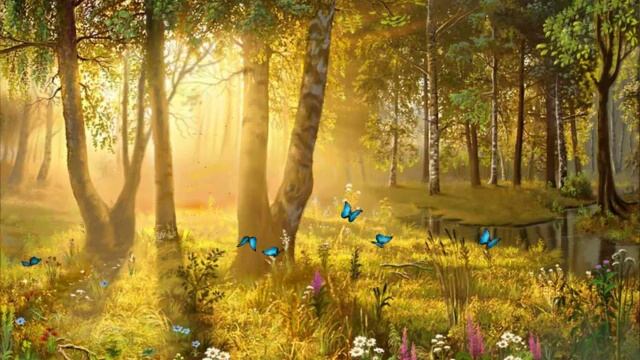 Бабочки на поляне смотреть онлайн