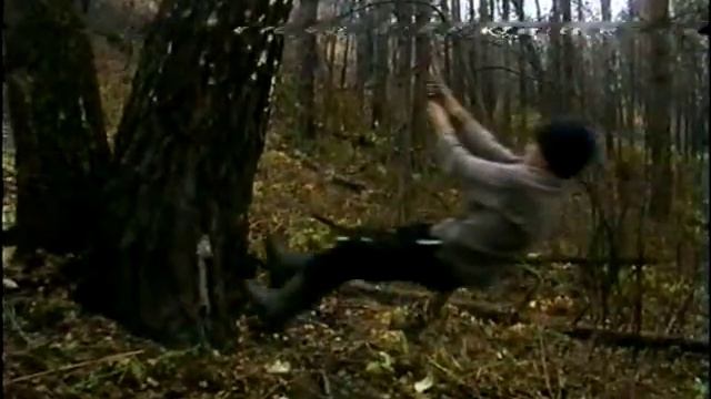 2008 - поход - октябрь - лес смотреть онлайн