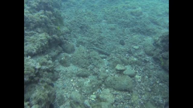 Bacoli sottosopra смотреть онлайн
