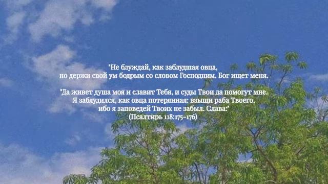 Христос есть сила и мудрость Божья смотреть онлайн