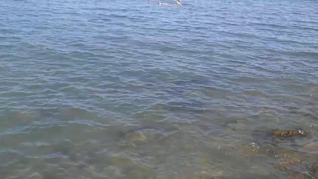 Анапа. Пляж санатория "Малая бухта". 20.08.2014 смотреть онлайн